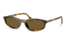 Shop MIU MIU Vertical Logo Irregular Sunglasses in Havana online.