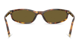 Shop MIU MIU Vertical Logo Irregular Sunglasses in Havana online.