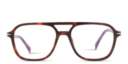 Shop DAVID BECKHAM Talisman Square Eyeglasses in Havana online.