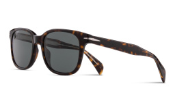 Shop DAVID BECKHAM Talisman Square Sunglasses in Havana online.