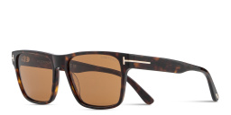 Shop TOM FORD Calder Square Sunglasses in Havana online.