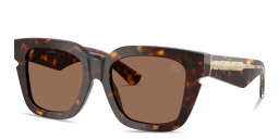 Shop BURBERRY Logo Signature Square Sunglasses in Havana online.