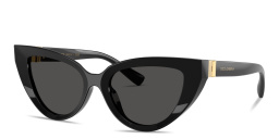 Shop Dolce & Gabbana Logo Signature Cat-Eye Sunglasses in Black online.