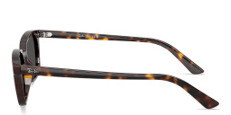 Shop Ray-Ban Zaya Unisex Pillow Sunglasses in Havana online.