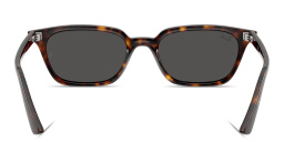 Shop Ray-Ban Zaya Unisex Pillow Sunglasses in Havana online.