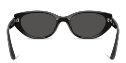 Ray-Ban Logo Signature Unisex Pillow Sunglasses in Black – Product Photo 4