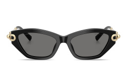 TIFFANY Tiffany HardWear Cat-Eye Sunglasses in Black – Product Photo 1