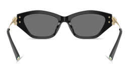 TIFFANY Tiffany HardWear Cat-Eye Sunglasses in Black – Product Photo 4