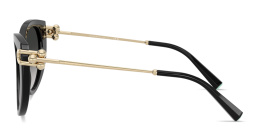 Shop TIFFANY Tiffany HardWear Cat-Eye Sunglasses in Black online.