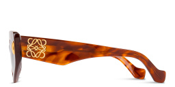 Shop LOEWE Anagram Irregular Sunglasses in Havana online.