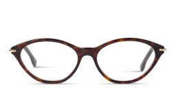 Shop FENDI Selleria Cat-Eye Eyeglasses in Havana online.