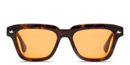 Shop SESTINI Quattro Unisex Square Sunglasses in Havana online.