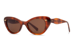 Shop SESTINI Quattordici Cat-Eye Sunglasses in Shiny Honey Tortoise online.