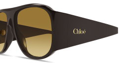 Shop Chloe Izia Aviator Sunglasses in Brown online.