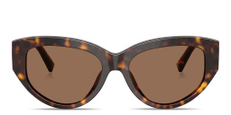 Shop Dolce & Gabbana DG Cat-Eye Sunglasses in Havana online.