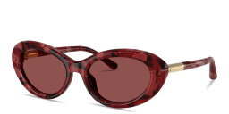 Shop Dolce & Gabbana Engraved Logo Oval Sunglasses in Red Havana online.