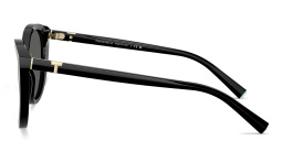 Shop TIFFANY Tiffany T Cat-Eye Sunglasses in Black online.