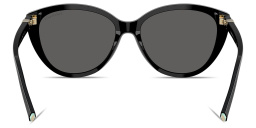 Shop TIFFANY Tiffany T Cat-Eye Sunglasses in Black online.