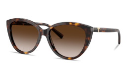 Shop TIFFANY Tiffany T Cat-Eye Sunglasses in Havana online.