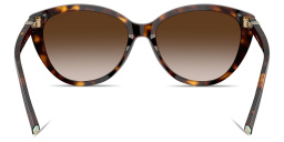 Shop TIFFANY Tiffany T Cat-Eye Sunglasses in Havana online.