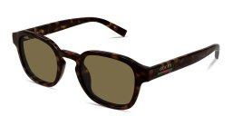 Shop GUCCI Web Round Sunglasses in Dark Havana online.