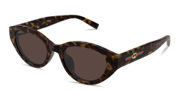 Shop GUCCI Web Cat-Eye Sunglasses in Dark Havana online.