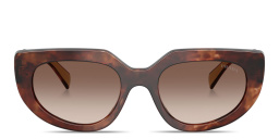Shop PRADA Logo Signature Oval Sunglasses in Caramel Tortoise online.