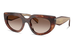 Shop PRADA Logo Signature Oval Sunglasses in Caramel Tortoise online.