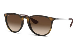 Shop Ray-Ban Erika Classic Panthos Sunglasses in Havana online.