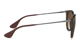 Shop Ray-Ban Erika Classic Panthos Sunglasses in Havana online.