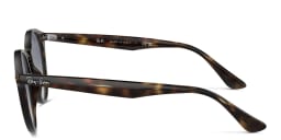 Shop Ray-Ban Unisex Round Sunglasses in Light Havana online.
