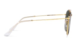 Shop Ray-Ban Unisex Round Sunglasses in Gold online.