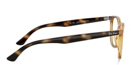 Shop Ray-Ban Unisex Round Eyeglasses in Havana online.