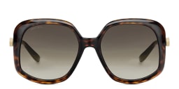 Shop JIMMY CHOO Amada/S Square Sunglasses in Havana online.