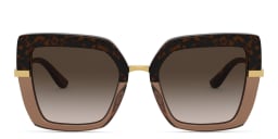 Shop Dolce & Gabbana Square Sunglasses in Havana online.