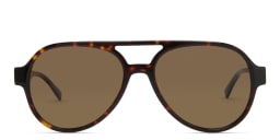 Shop EYE'M Aviator Sunglasses in Havana online.