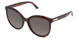 Shop EYE'M Cat Eye Sunglasses in Havana online.