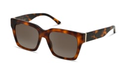 Shop EYE'M Square Sunglasses in Havana online.