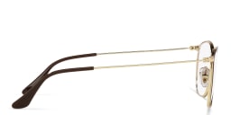 Shop Ray-Ban Unisex Square Eyeglasses in Brown On Gold online.