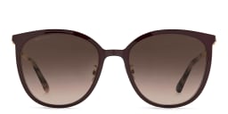Shop JIMMY CHOO Oria/G/SK Cat Eye Sunglasses in Gold Copper online.