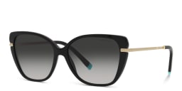 Shop TIFFANY Cat-Eye Sunglasses in Black online.