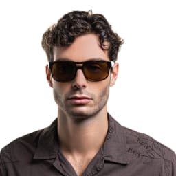 Shop Emporio Armani Logo Pillow Sunglasses in Havana online.