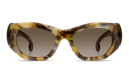 Shop ETRO Paisley Cat-Eye Sunglasses in Brown online.