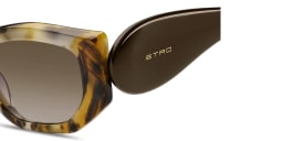 Shop ETRO Paisley Cat-Eye Sunglasses in Brown online.