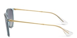 Shop Ray-Ban Erika Panthos Sunglasses in Transparent Light Blue online.