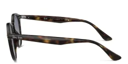 Shop Ray-Ban Unisex Round Sunglasses in Light Havana online.