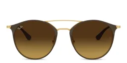 Shop Ray-Ban Unisex Panthos Sunglasses in Brown online.