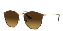 Shop Ray-Ban Unisex Panthos Sunglasses in Brown On Gold online.