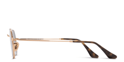 Shop Ray-Ban Octagonal Unisex Irregular Sunglasses in Arista online.