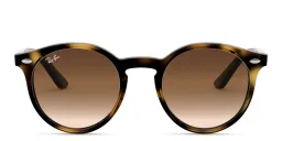 Shop Ray-Ban Junior Kids Glossy Panthos Sunglasses in Havana online.